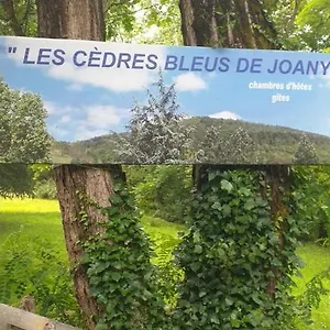 https://les-cedres-bleus-viviez.midi-pyreneeshotels.com